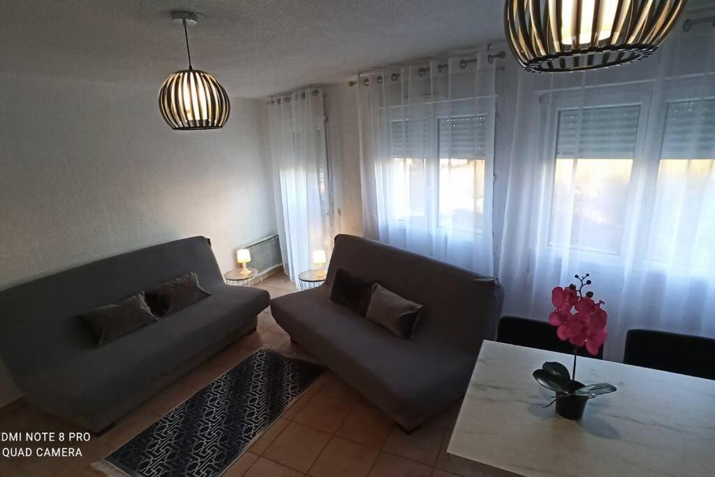 Appartement Face A La Gare Annemasse Ngoại thất bức ảnh